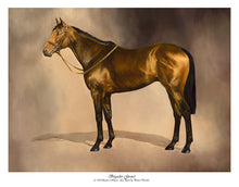 Load image into Gallery viewer, Brigadier Gerard