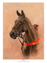 Load image into Gallery viewer, Denman