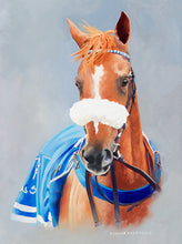 Load image into Gallery viewer, Arabian racehorse Djainka des Forges. Newbury racecourse.