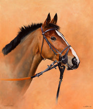 Load image into Gallery viewer, Horse racing art print portrait of champion Kauto Star from an original painting by equestrian artist Lisa Miller