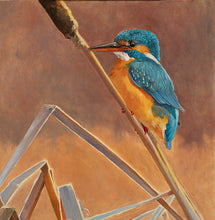 Load image into Gallery viewer, Original oil painting of a kingfisher perched on greater reedmace by wildlife artist Lisa Miller

