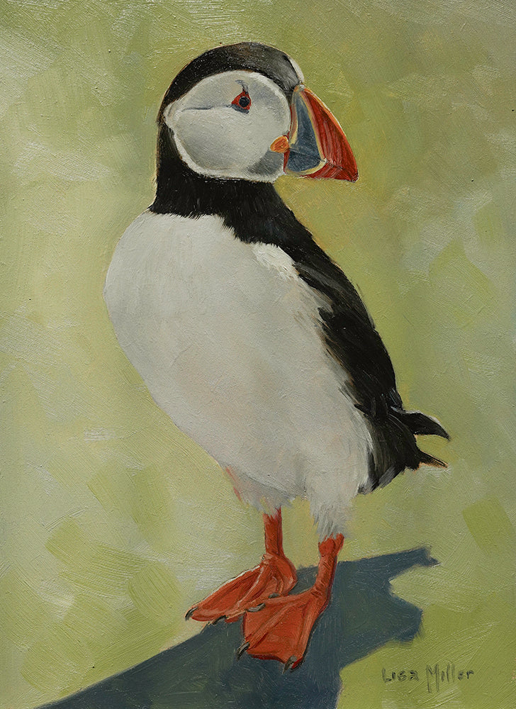 Atlantic Puffin 1 Original Oil