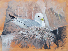 Load image into Gallery viewer, Original oil painting study of a nesting kittiwake, the Farne Islands, by wildlife artist Lisa Miller
