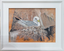 Load image into Gallery viewer, Kittiwake Study, Original Oil
