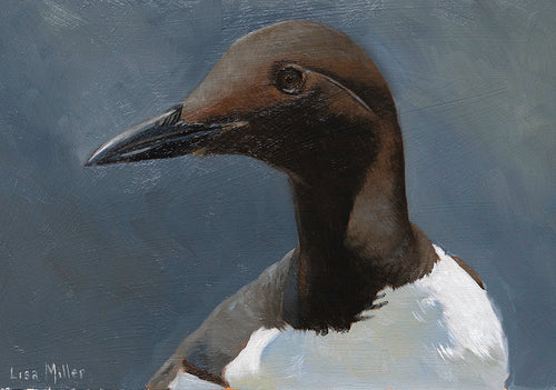 head portrait of a guillemot in oils