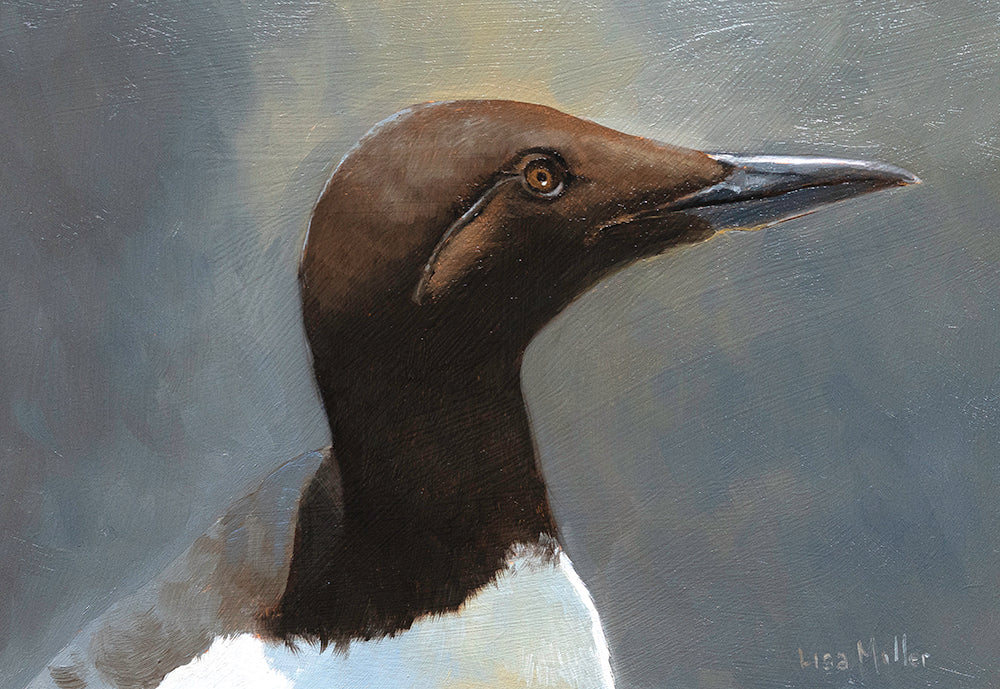 oil portrait of a guillemot