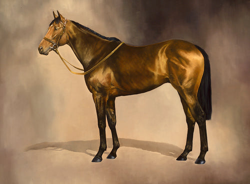 Limited edition horse racing art print of champion Brigadier Gerard.