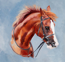 Load image into Gallery viewer, Arabian racehorse Kaokat MHF. Newbury Racecourse.
