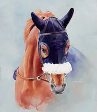 Load image into Gallery viewer, Arabian racehorse Rasaasy. Newbury Racecourse.
