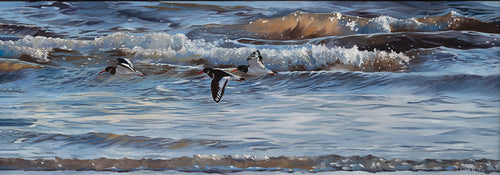 Three flying oystercatchers above rolling waves, Pembrokeshire. Wildlife art by Lisa Miller