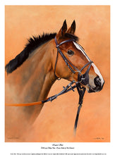 Load image into Gallery viewer, Kauto Star

