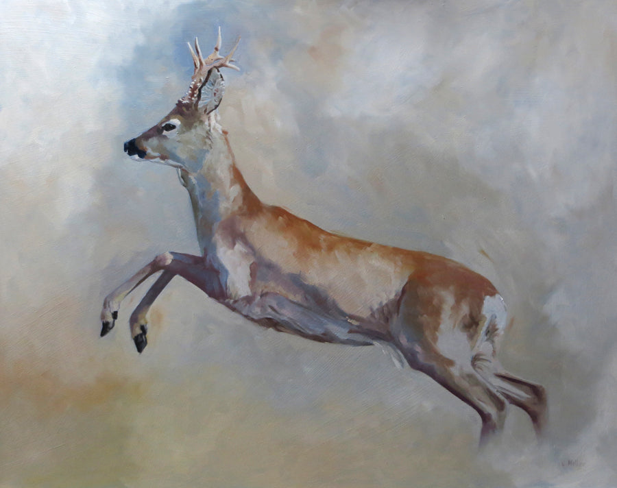 Original oil painting of a leaping roebuck by wildlife artist Lisa Miller