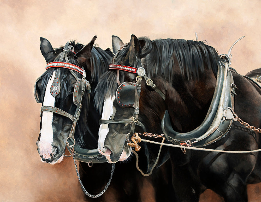 Equestrian art print of two working shire horses from an original painting by artist Lisa Miller