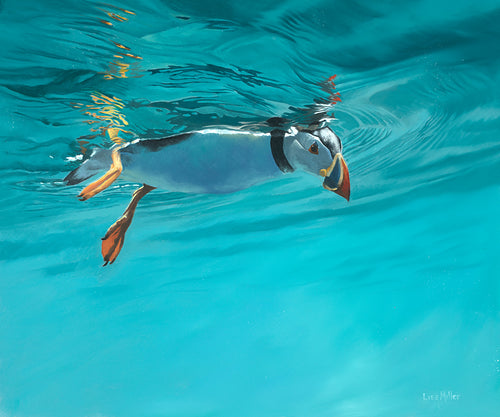 Bird art print of a Skomer puffin underwater from an original oil by wildlife artist Lisa Miller