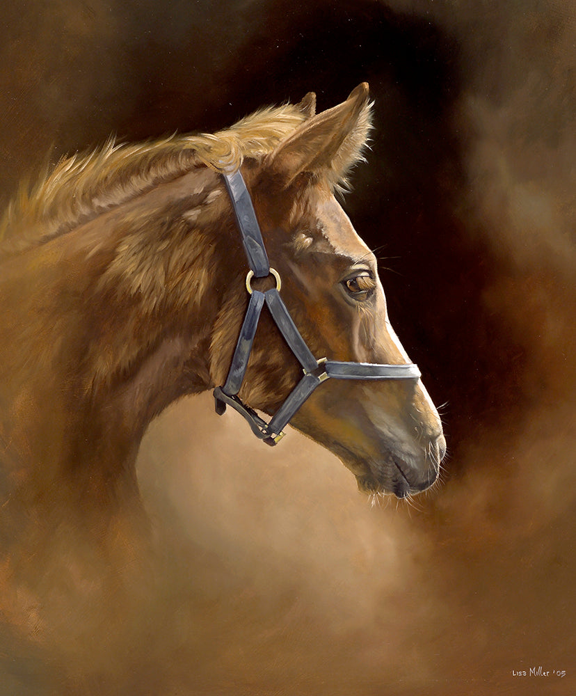 Horse racing art print portrait of a thoroughbred filly foal from an original painting by equestrian artist Lisa Miller